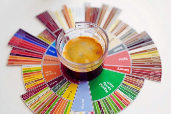 A thumbnail image for the guide: The Coffee Tasting Wheel: A Sensory Journey